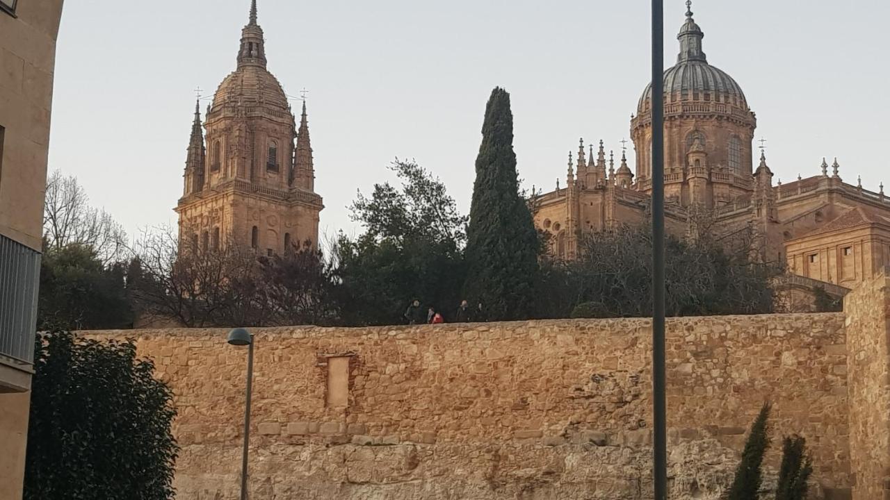 Loft Estudio Catedral Casa Lis * Salamanca