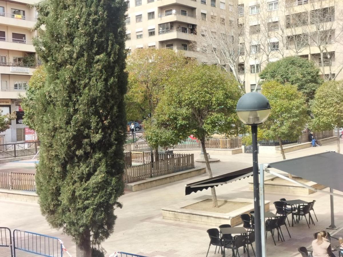 Albero