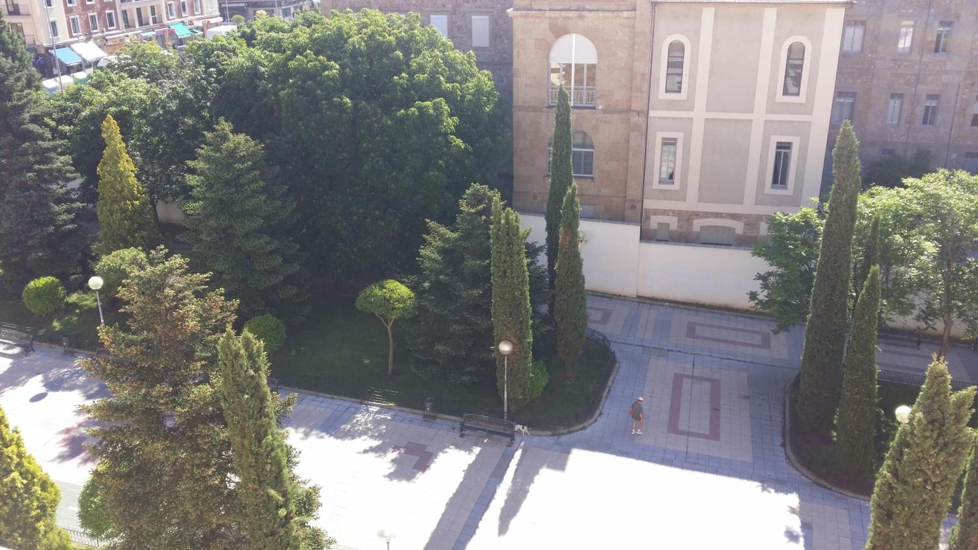 Ibis Hotel