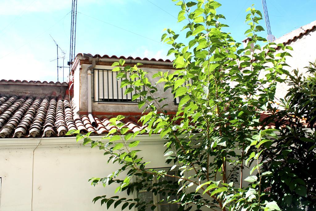 Alevia Guest house