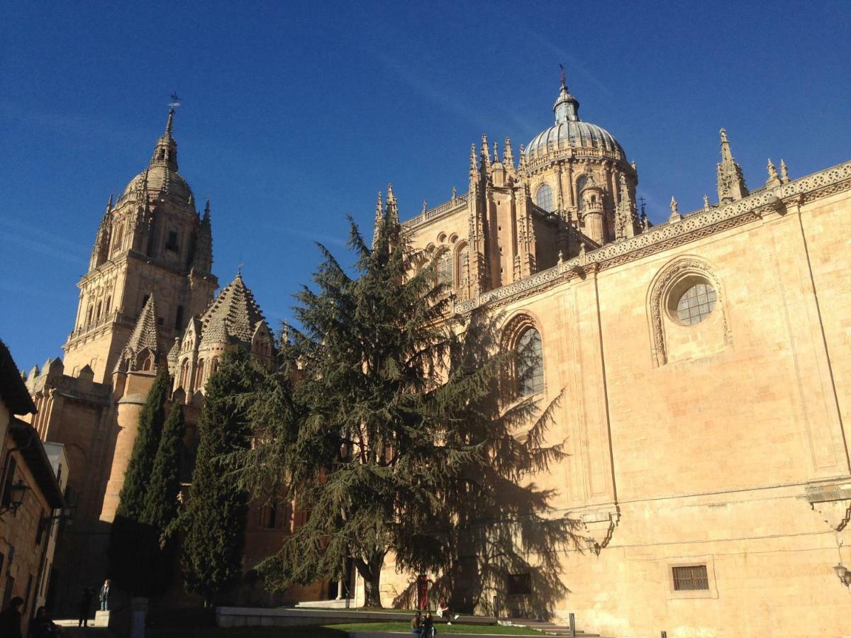 Quality Salamanca