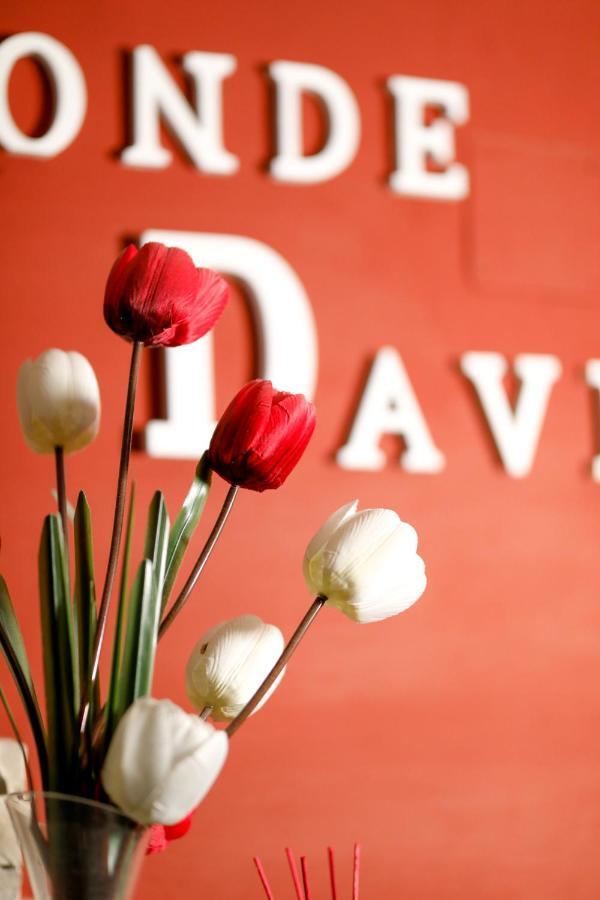 Guest house Conde David Salamanca
