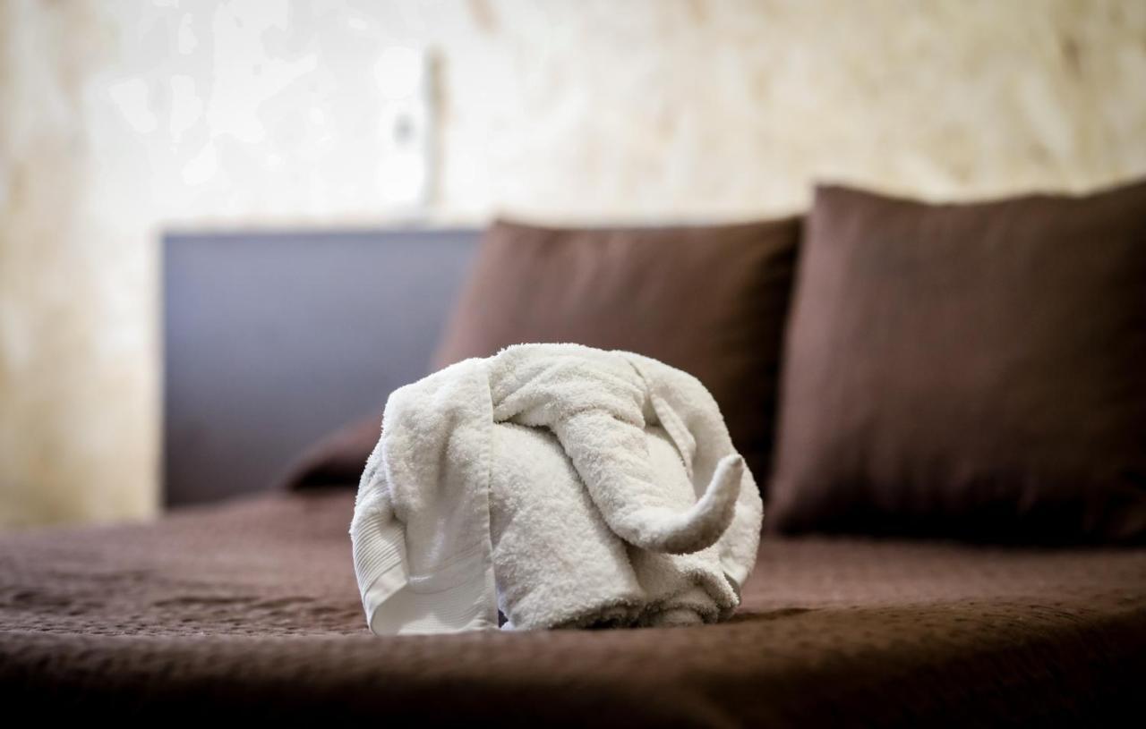 Guest house Conde David 2*